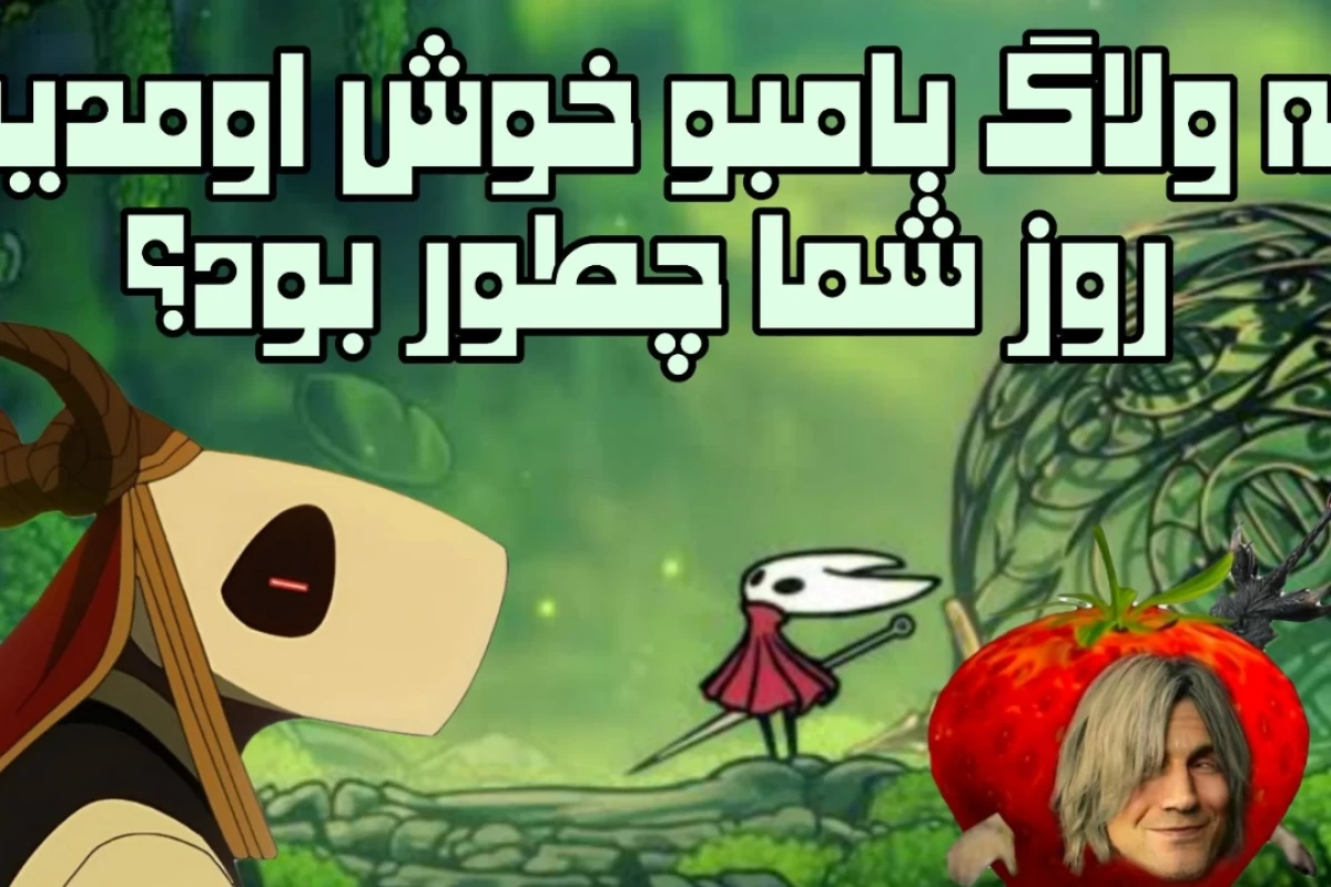 عکس هفت ولاگ با بامبو، روز پنجم (با حضور کاربرا و اپراتور)