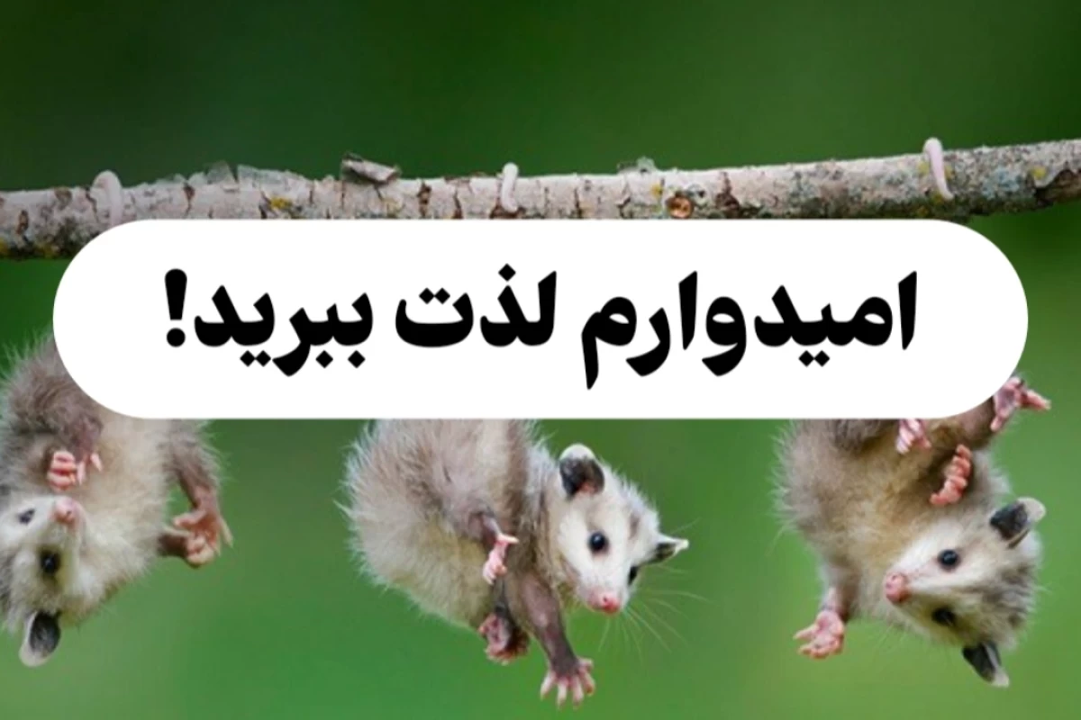 صاریغ؛ بهترین بازیگر حیات وحش