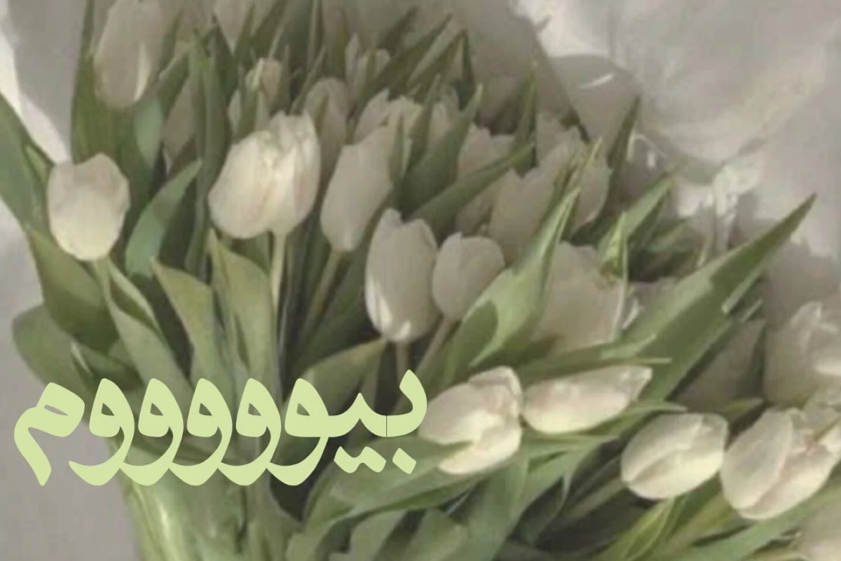 مارلی کیست؟