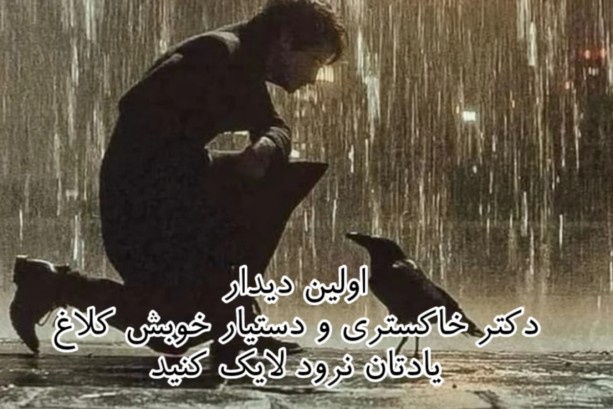 از شایعه های تستچی باخبر شوید !
