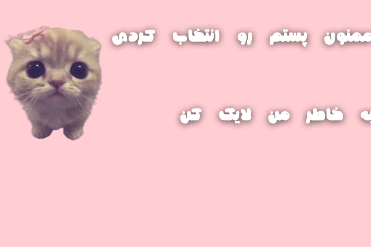 عکس 🧸:مظلوم تر از من پیدا نکردی؟