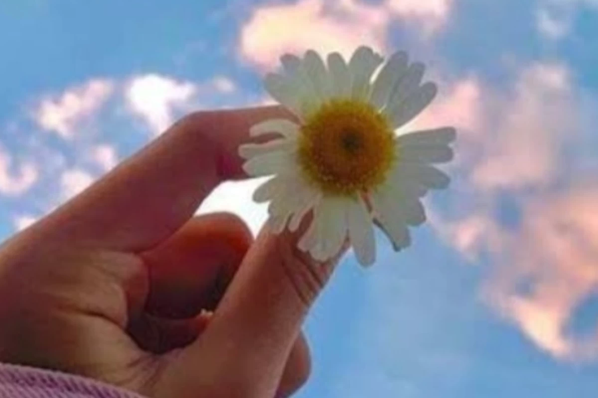 چند فیلم و سریال برای کودک و نوجوان