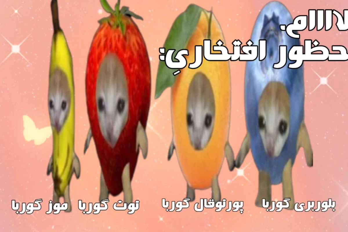 :آمم،بزار که باهات مخالفت کنم!