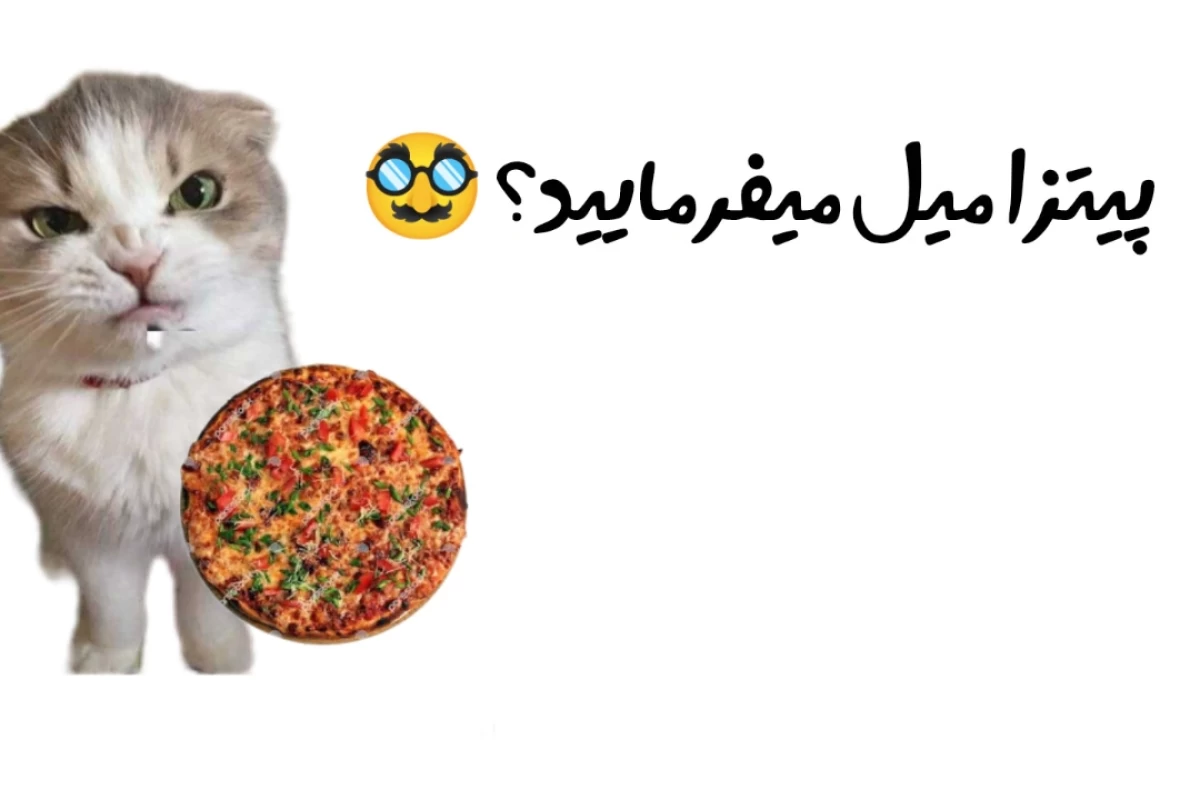 عکس یکم پرامپتمون نشه؟ p2