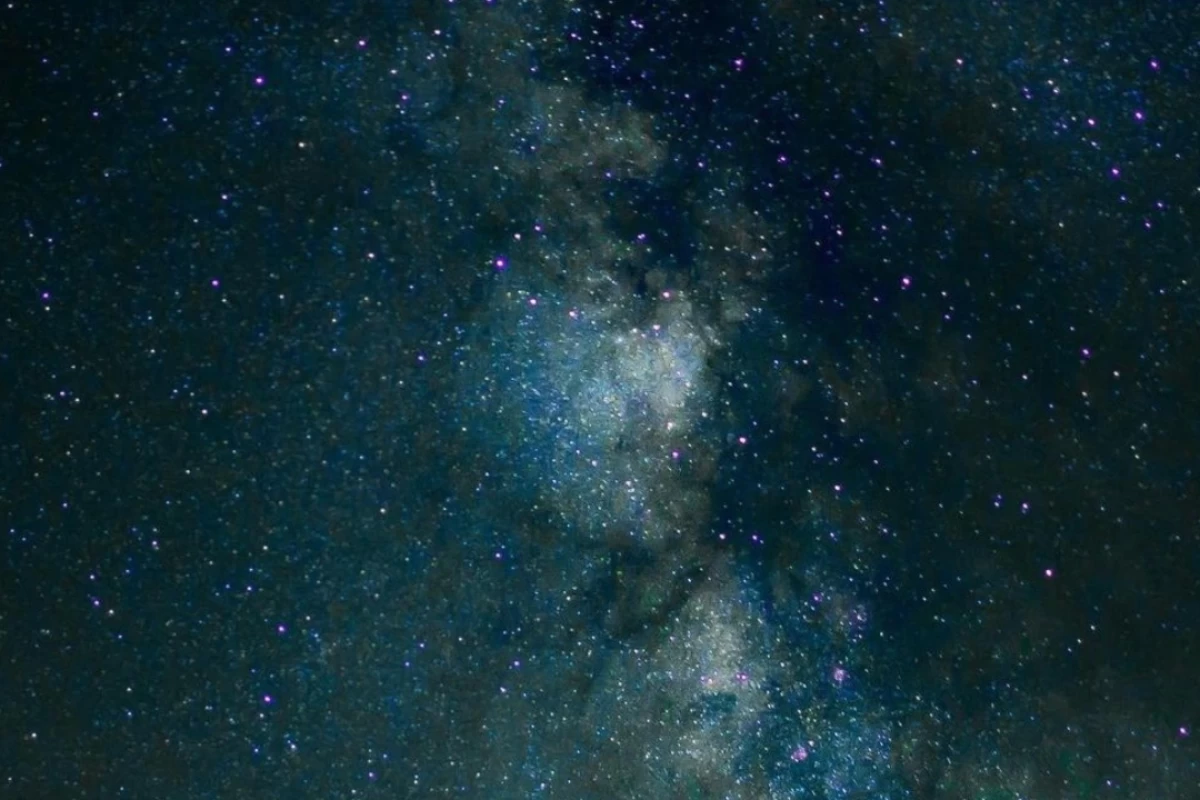 یک روز خوب با حضور (بلاگیون، ممد و کاربرا)