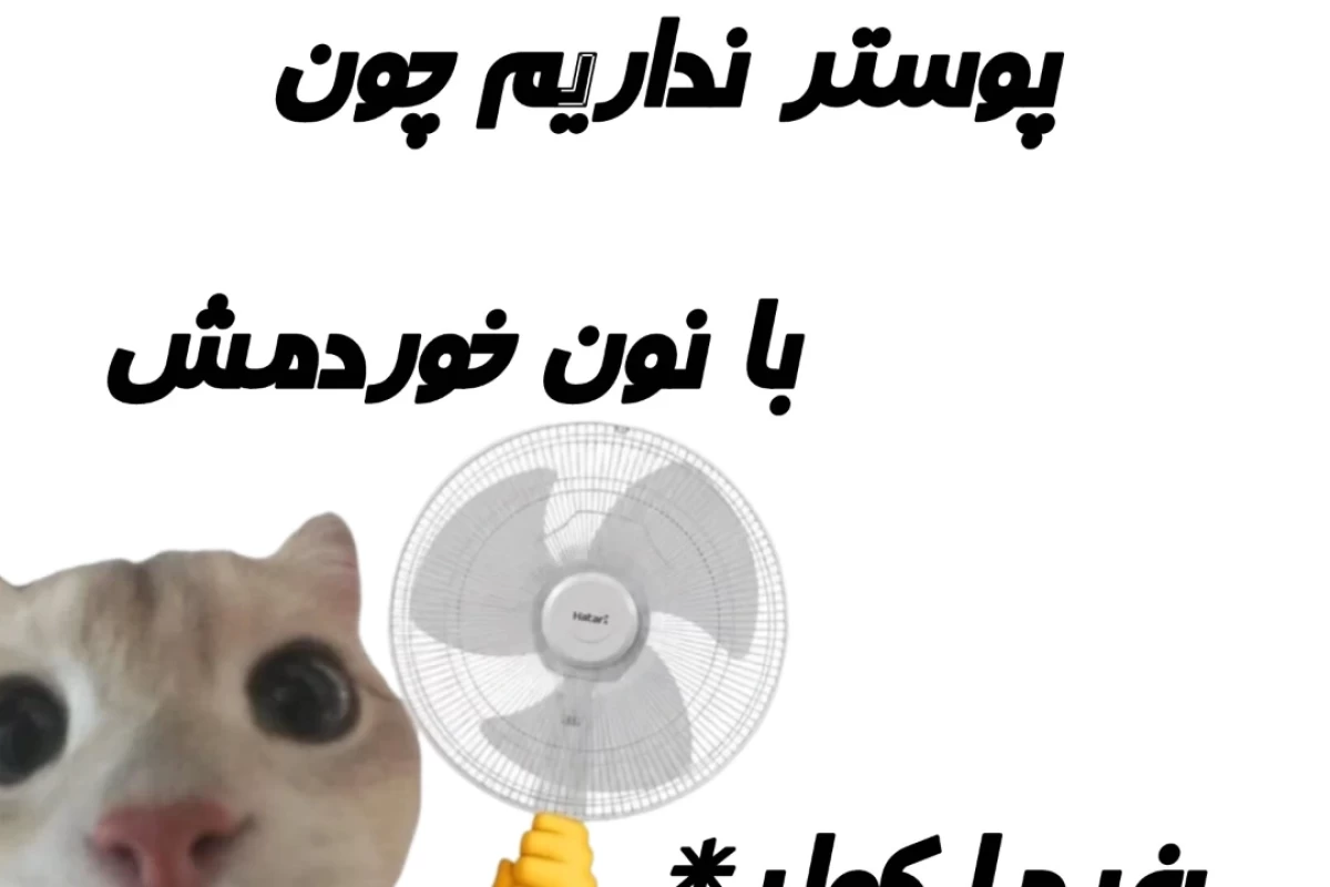 عکس 💕:نوجونا core