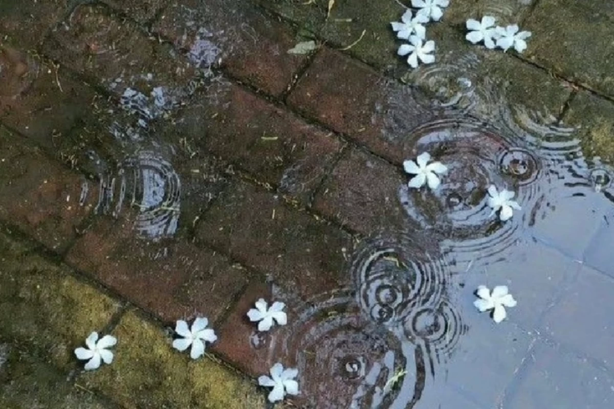 دلتنگی؛
