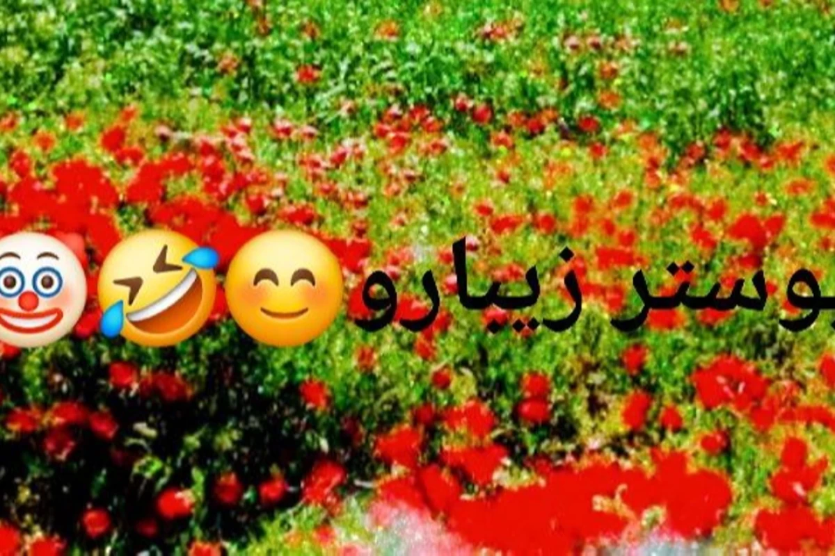 دلیل احتمالی:مشکل ناظرا با میراکلس چیه؟