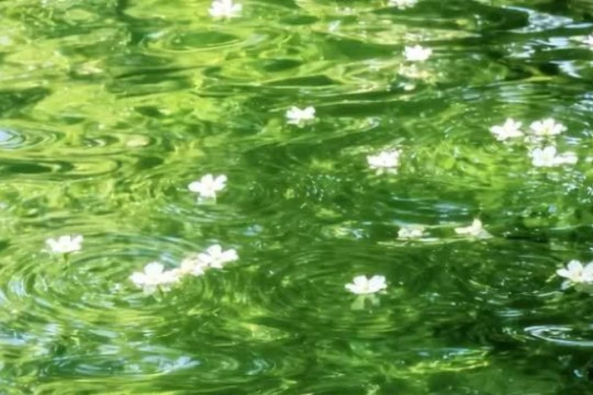 بیا اتاقمون رو با هیچی خوشگل کنیم گرل پارت یک