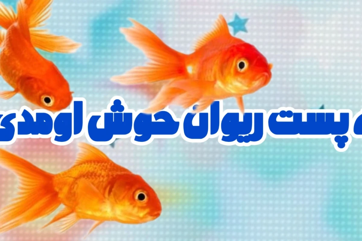 ~نقاشی های بچگی ریوان؟!