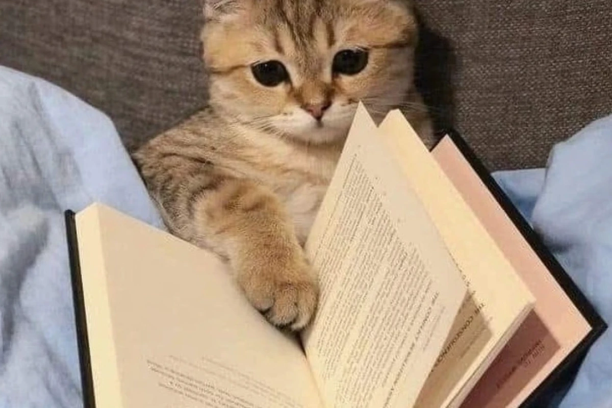 چجوری یک سال جهشی بخونیم