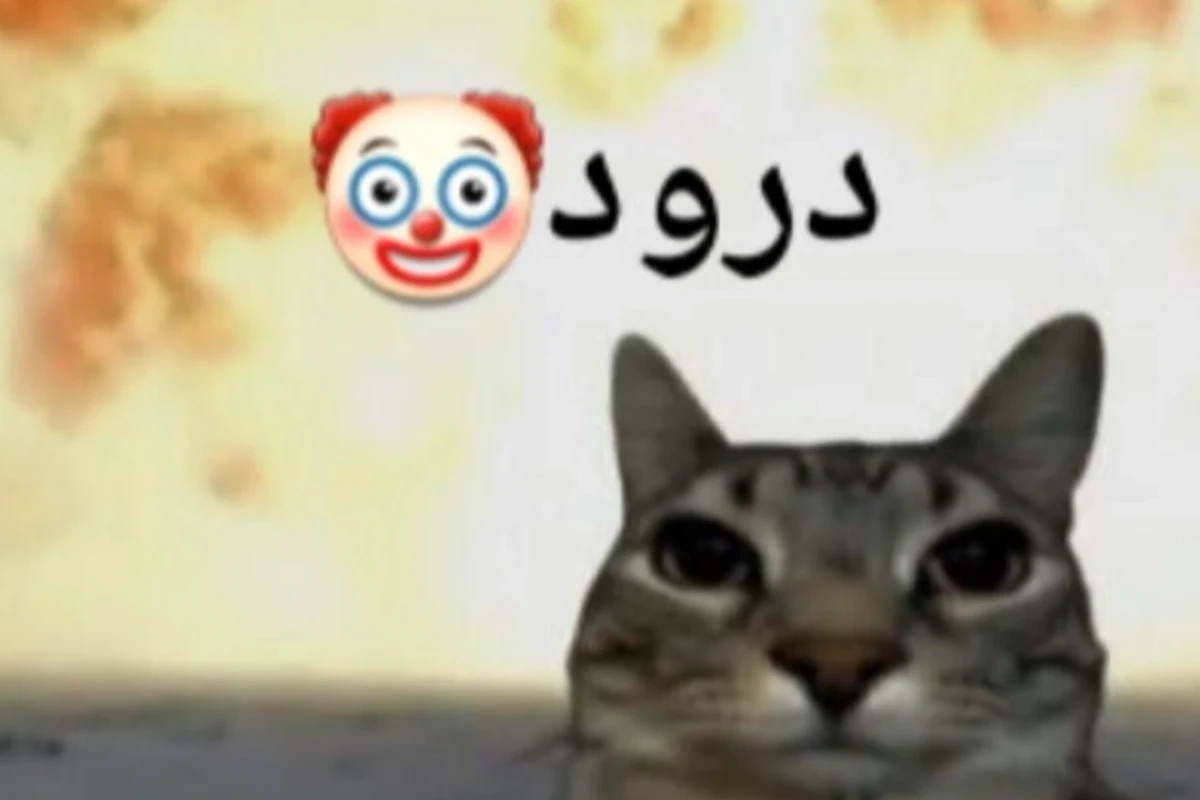 میم مخصوص نویسنده ها