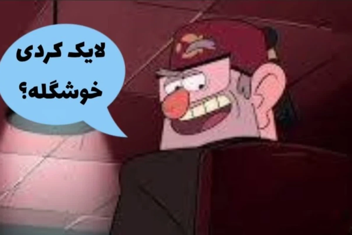 فکت راجب سلاح دارسی