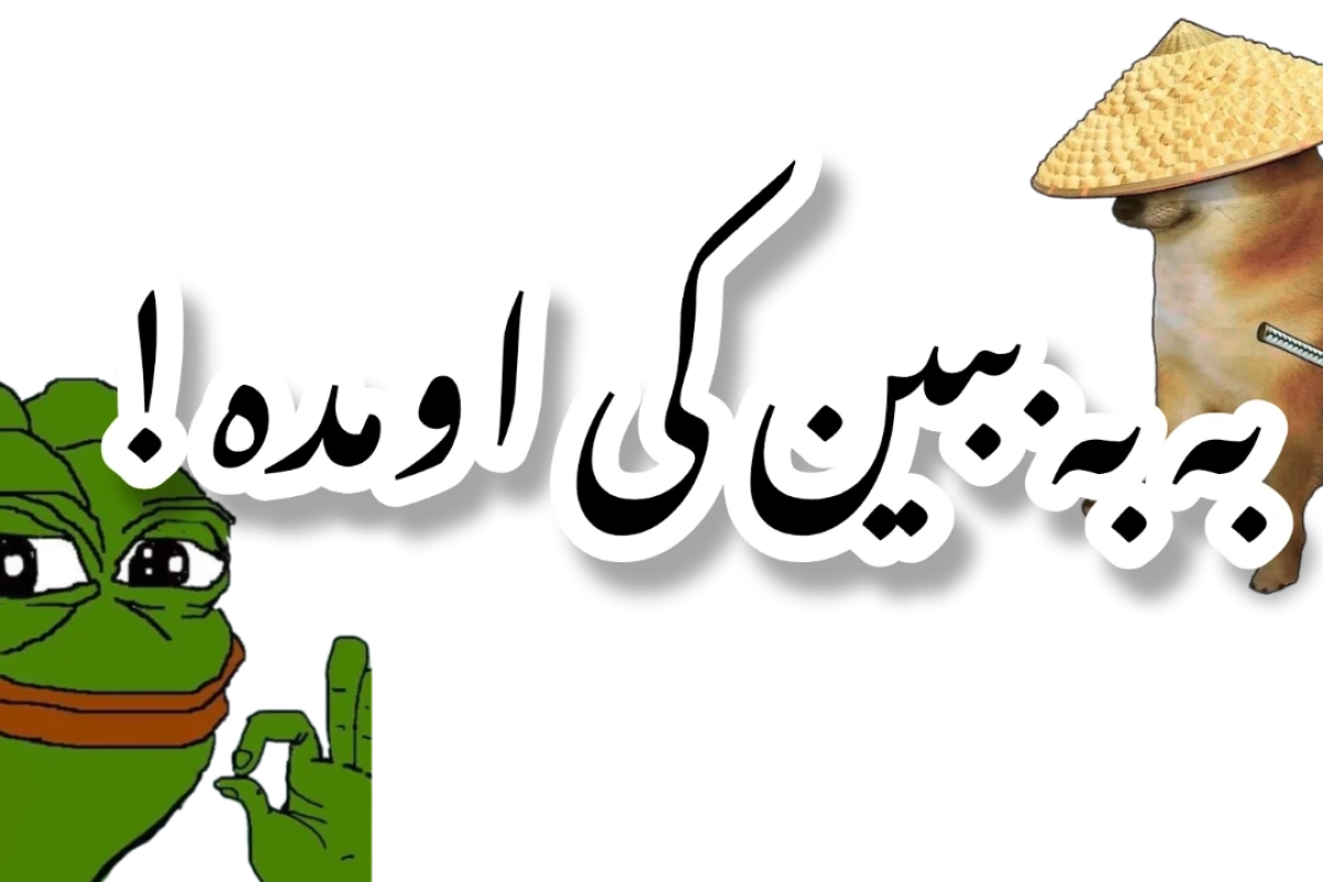 فراتر از میم!
