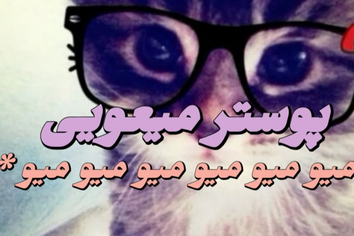 🐈:اگه یه روز گربه بودم!