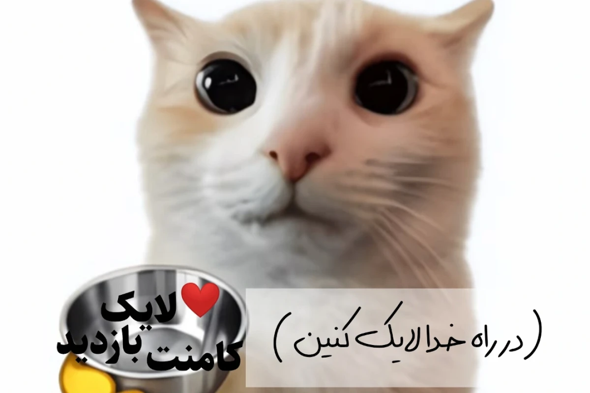 معلومه...سطح توقع بالا رفت!!!