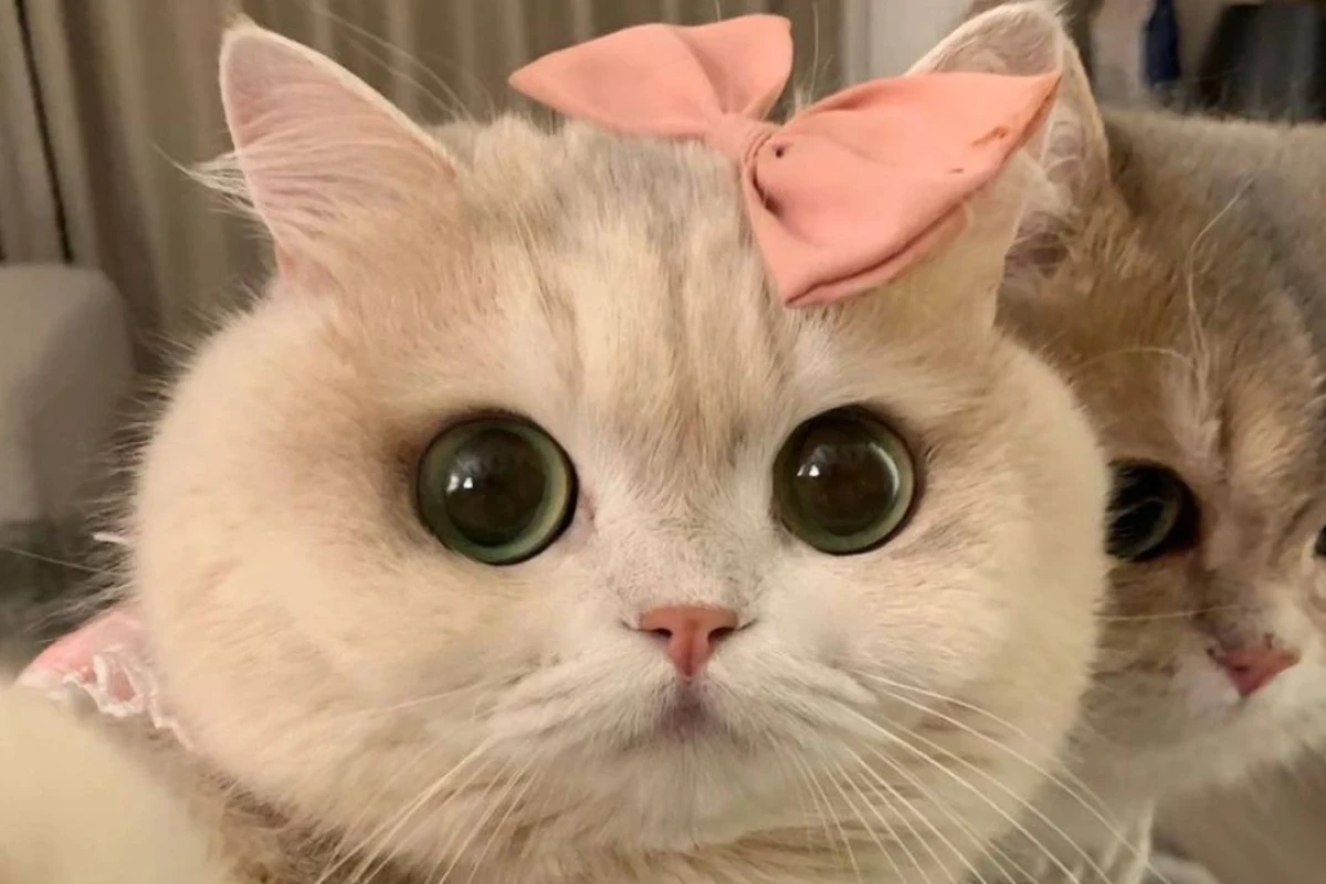 سکوت...