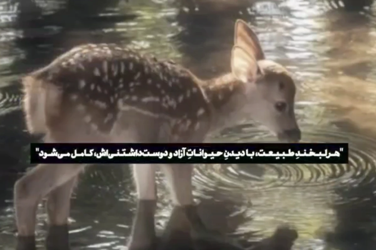 در تیـ..مـارستان *مجـددا کیپـاپ زاده تـک تومـنی* آهـو کوچـیکـه چه میگـذرد؟