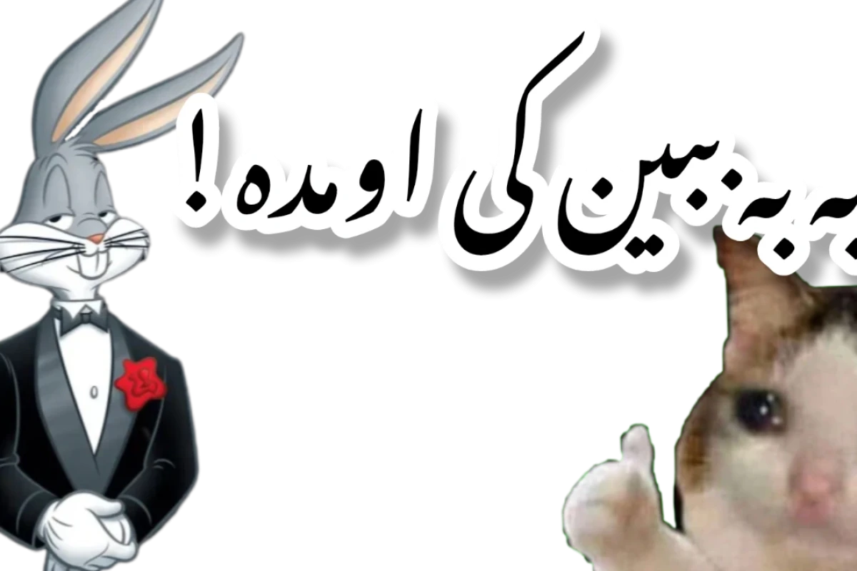 فراتر از میم!²