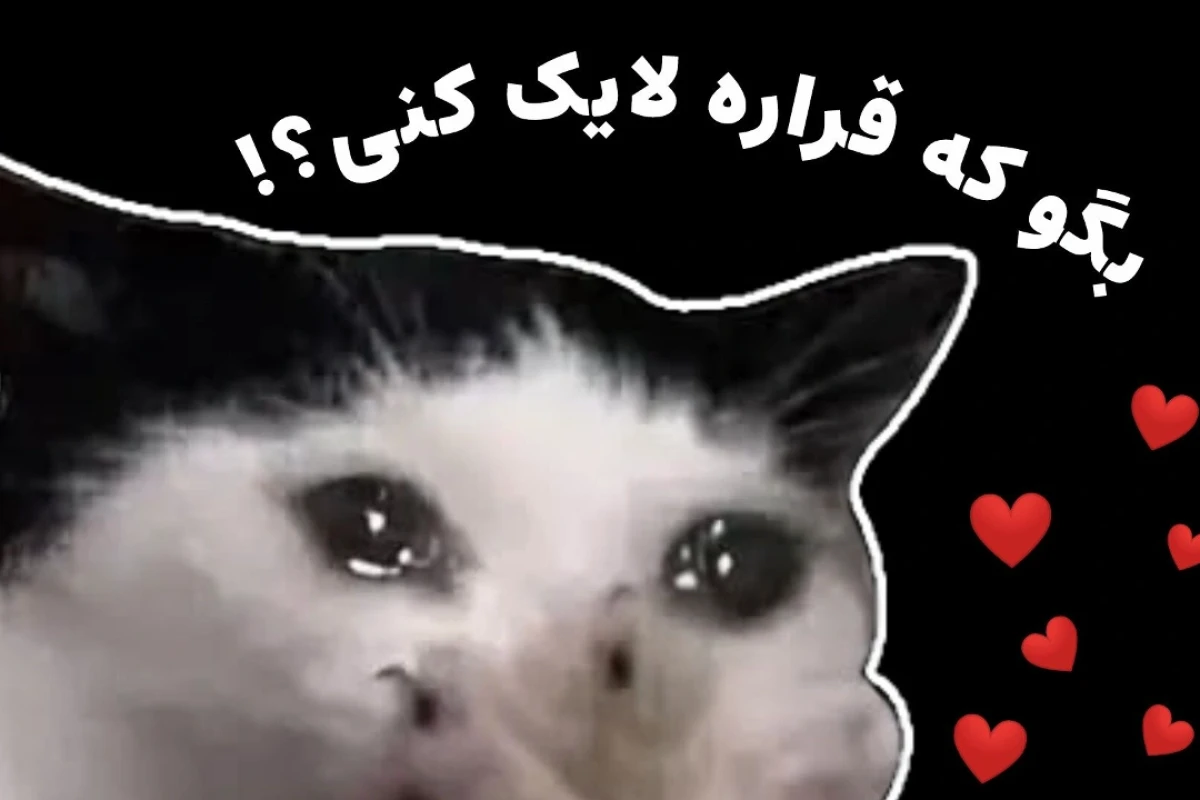 🚷:: هی تو... فقط برگرد پیشمون!!