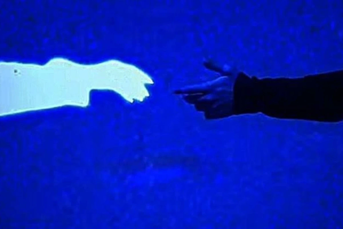در جهانی دیگر؛بخش هفتم