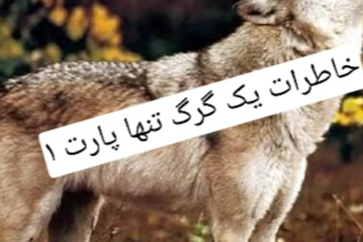 خاطرات یک گرگ تنها  پارت ۱