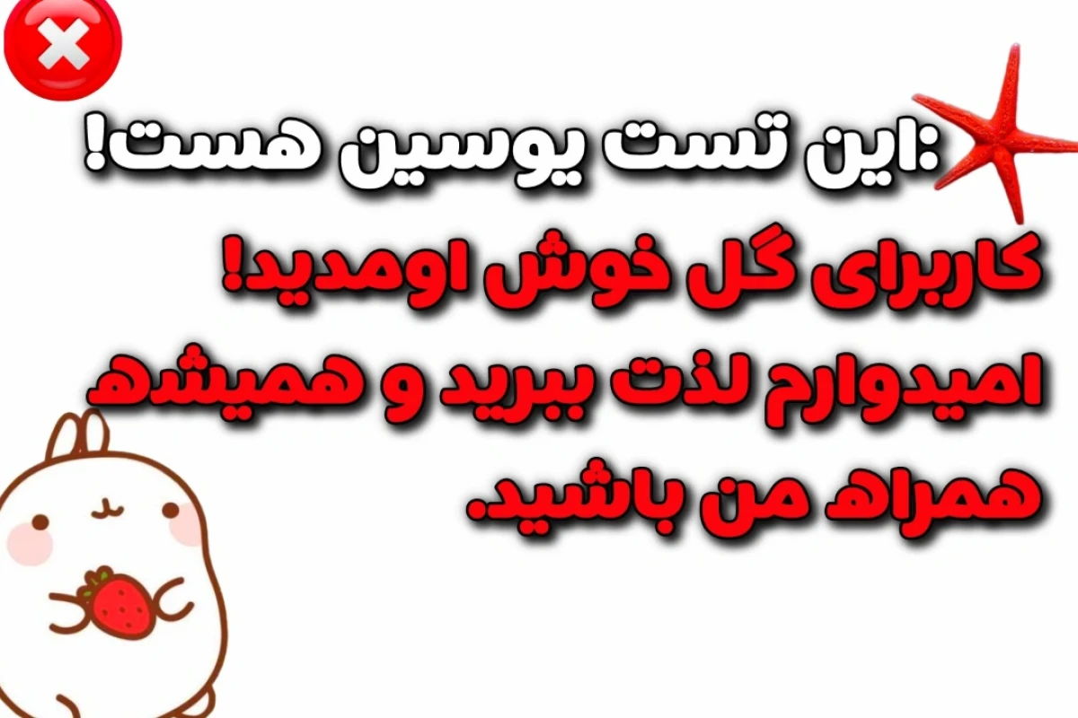 به تستچی خوش آمدید!