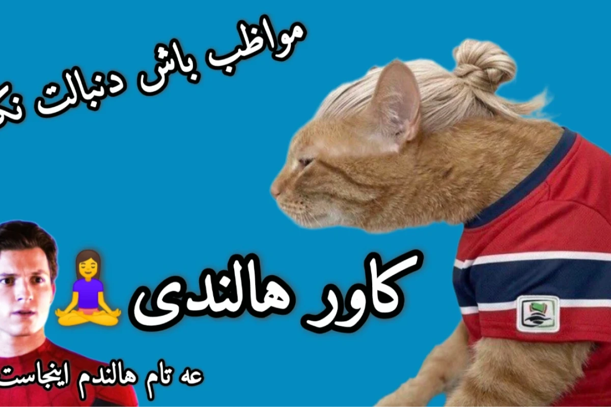 اون بازيکن نبود اون زندگیم بود