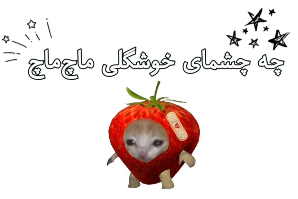 منطق بی‌منطق تستچی ؟!