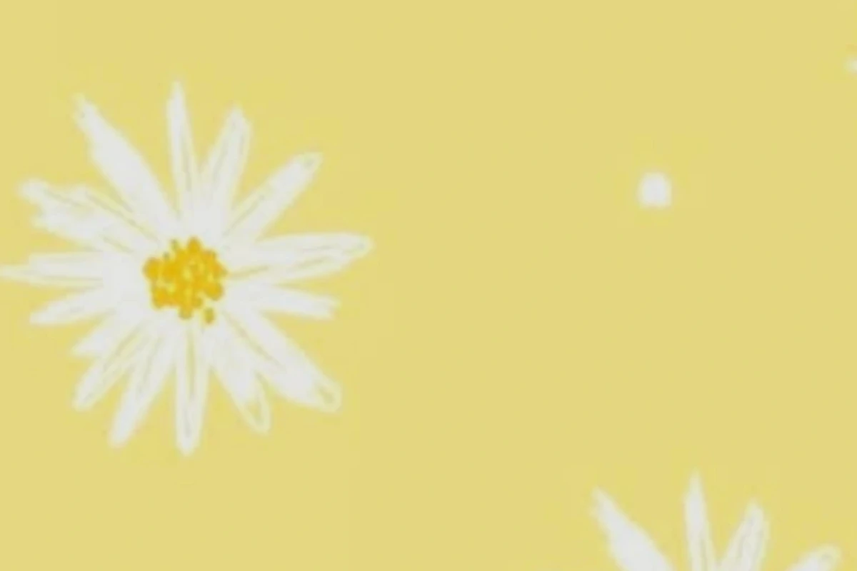 میم از بلک پینک