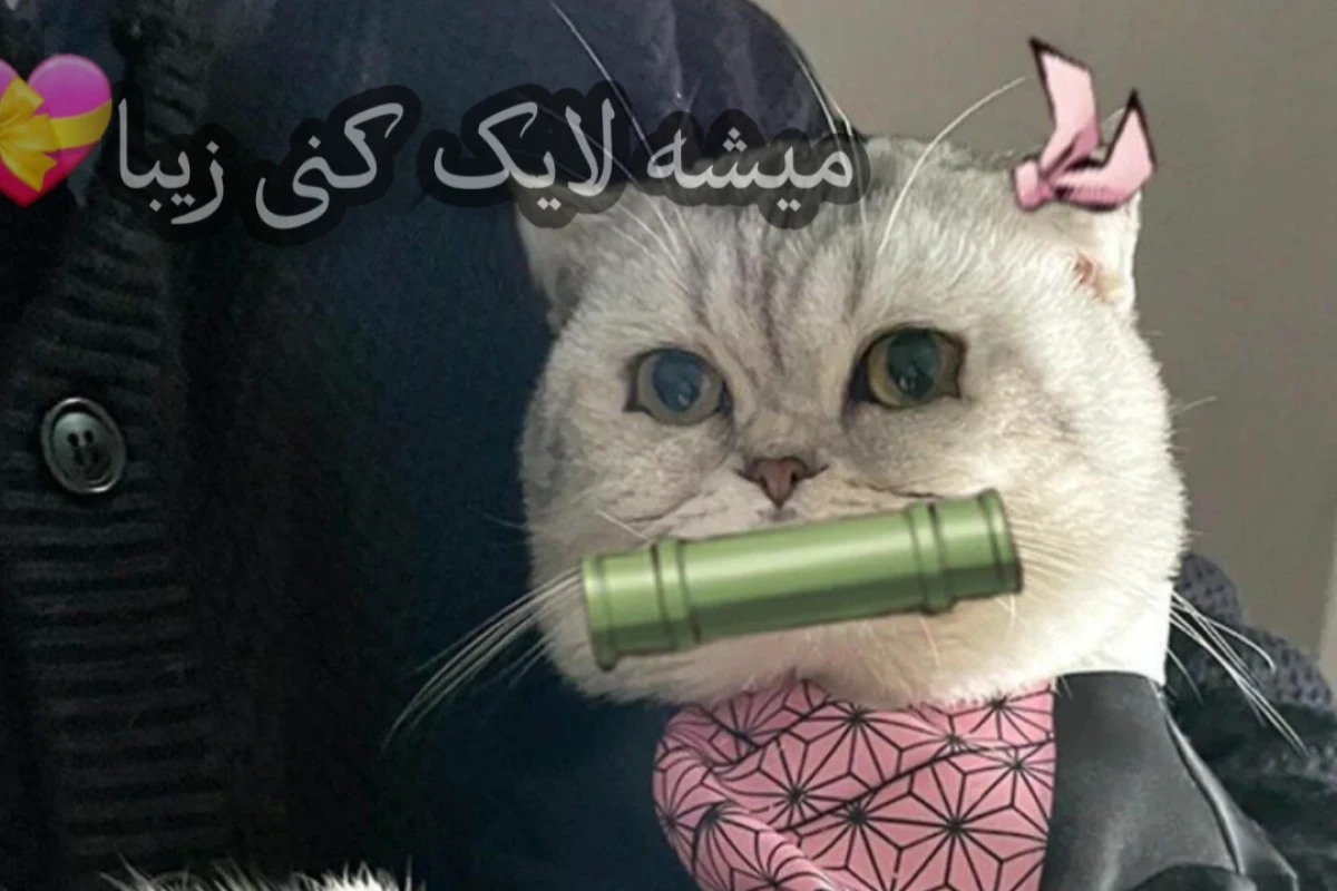 انواع دانش اموزان در تابستان[فان]