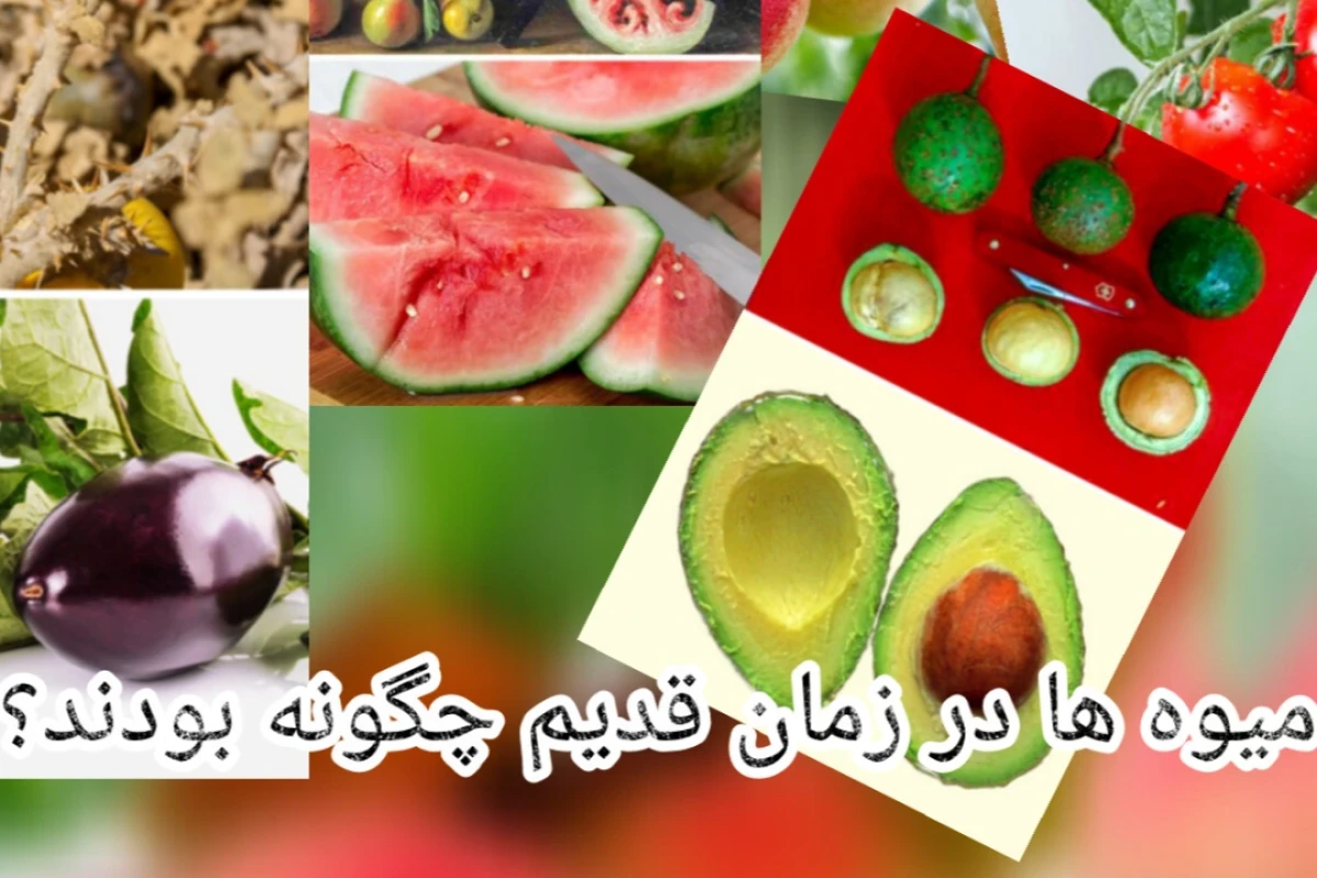 میوه ها در زمان قدیم چگونه بودند ؟