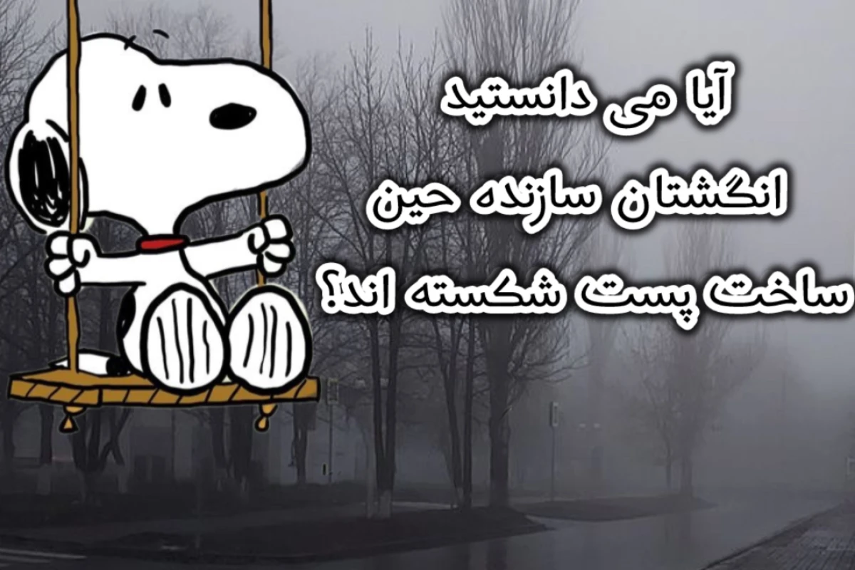 تستچی و صدا و سیما دست به یکی کردند؟! (فانعلی)