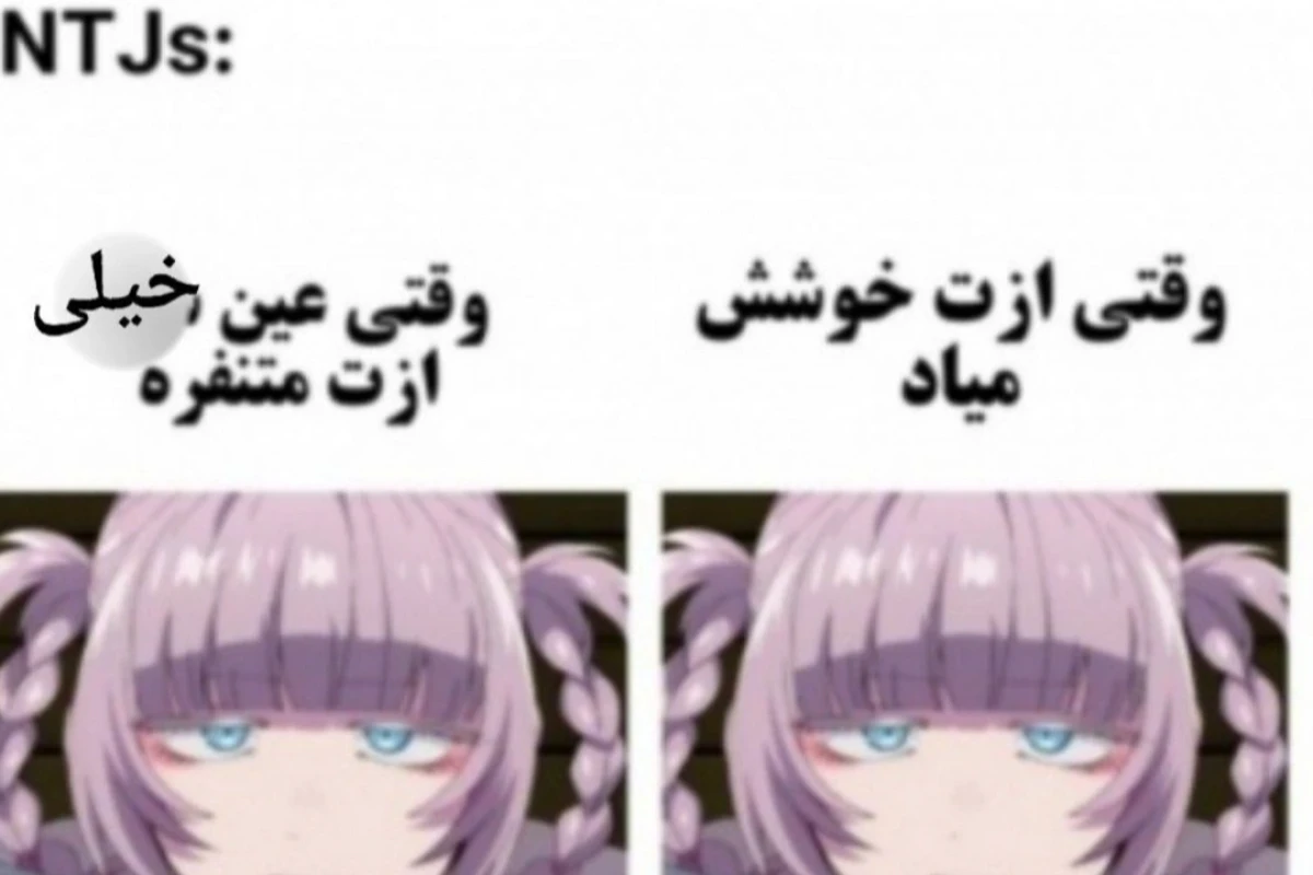 میمmbti