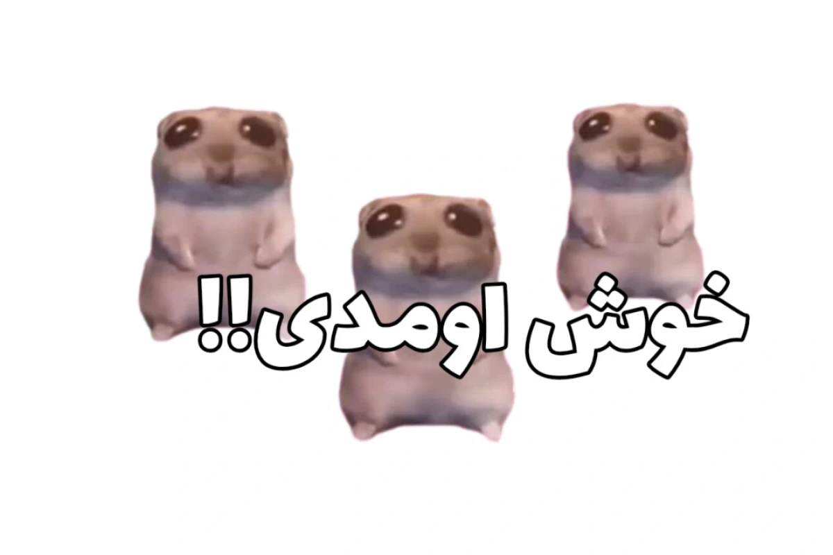 میم از بسته شدن دوباره کامنتا!(فان)