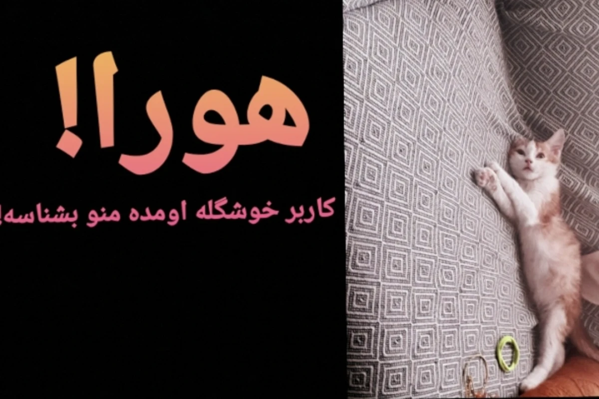 میلو،گربه ای که میگوید:میو