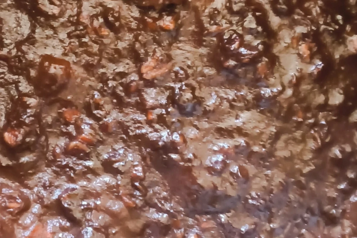 یه کاسه صبونه با بنده🧚