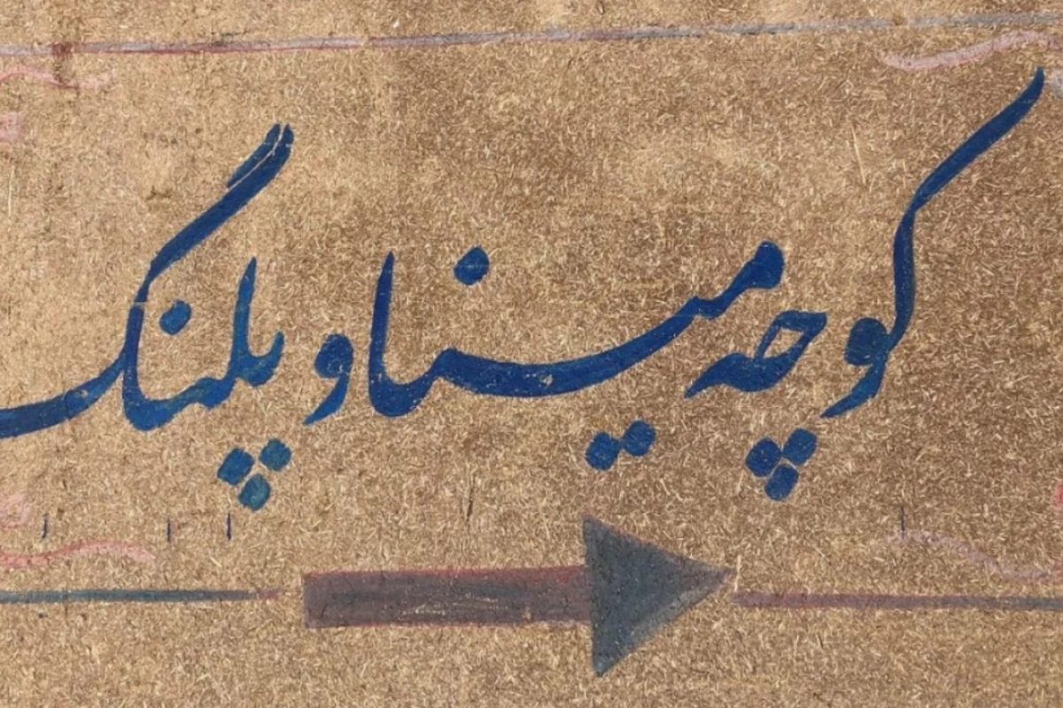 مینا و پلنگ