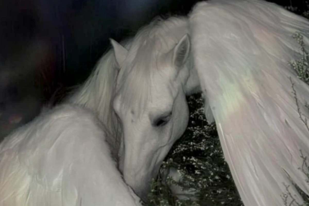 💕:: برق رفته؟ +۵ راهکار بدرد بخور