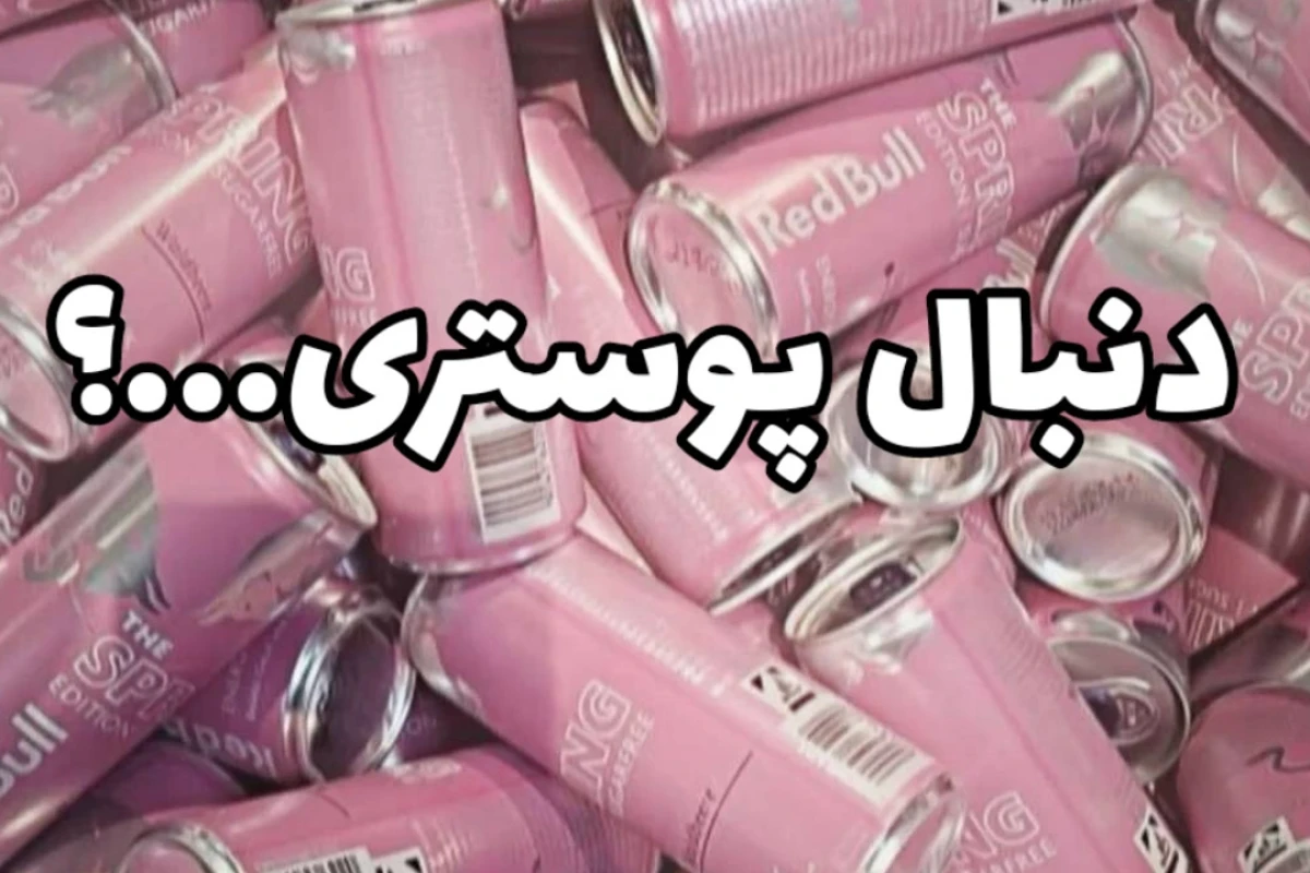 اینارو راجع به تستچی می دونی؟