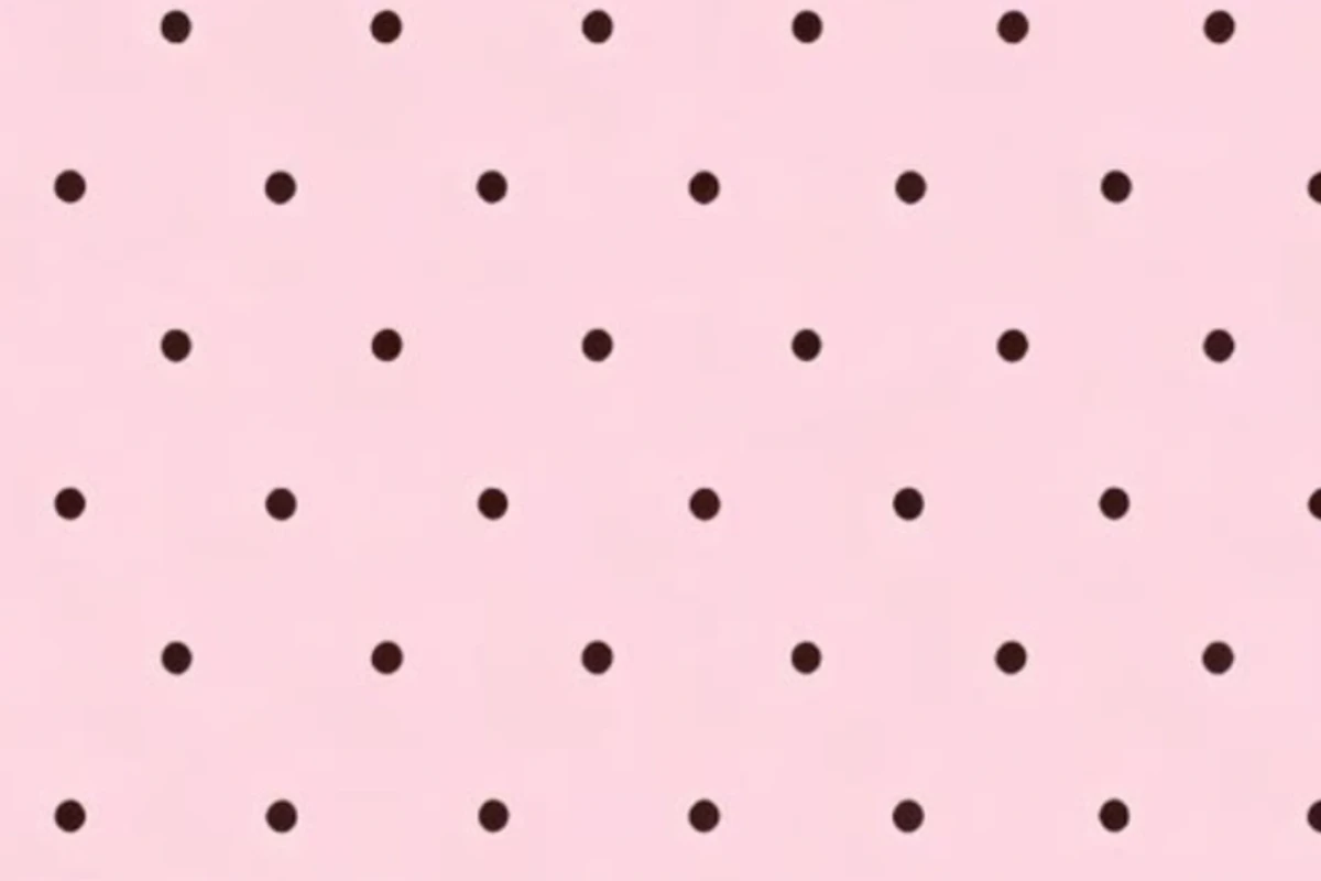 🍰::𝘞𝘩𝘰 𝘪𝘴 𝘒𝘪𝘬𝘪?