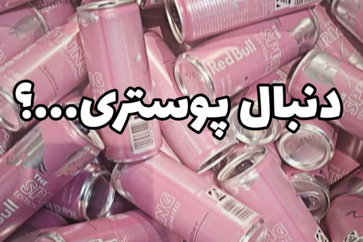 حدس بزن این کیه؟(بلک پینکver)