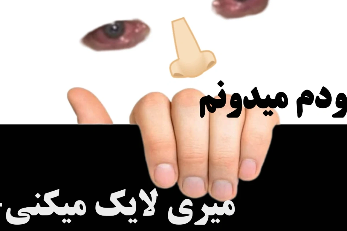👺:: بیا ببینم؛ چی گفتی الان؟