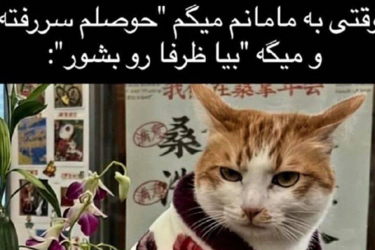「 توییت طنز ۴✨🤣」