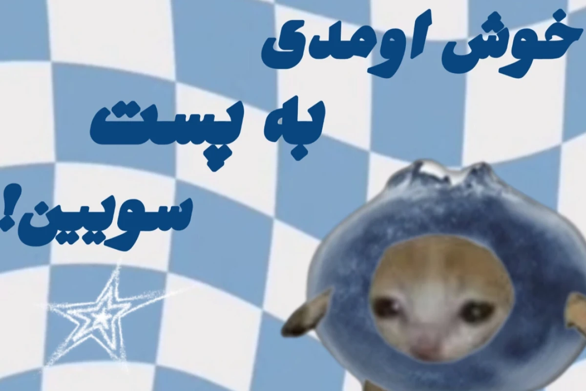 🐳: برام مهم نیست چند سالمه چون قراره تا ابد...