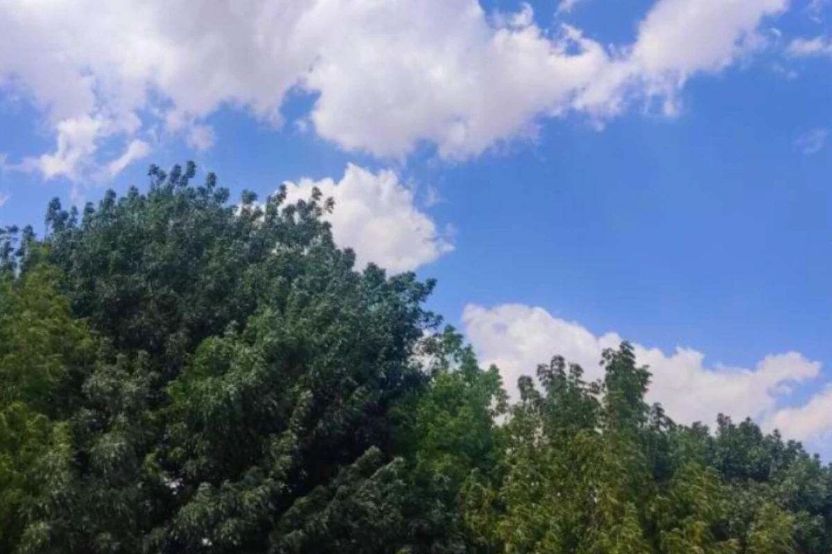 سفری به گنبد سلطانیه