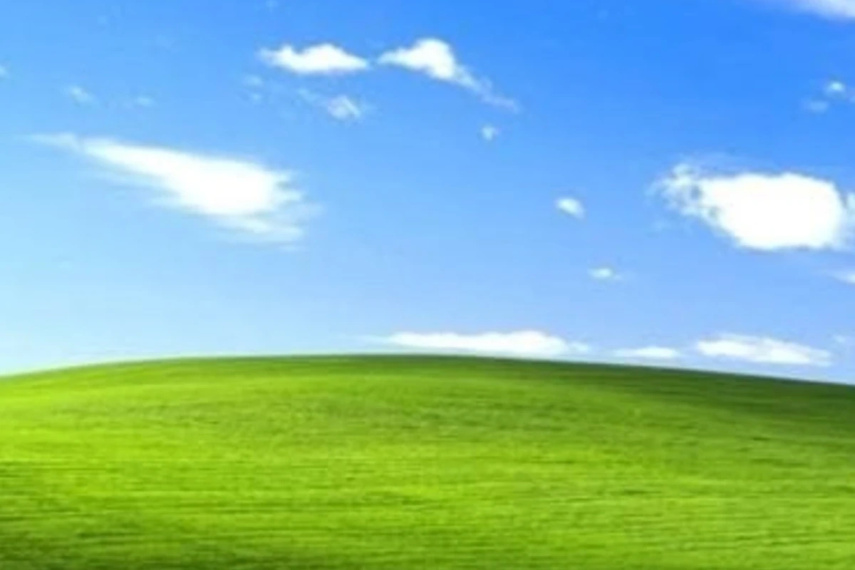 چگونه دوست خود را راضی کنیم تا به تستچی بیاید؟(کاملا طزمینی🤡)