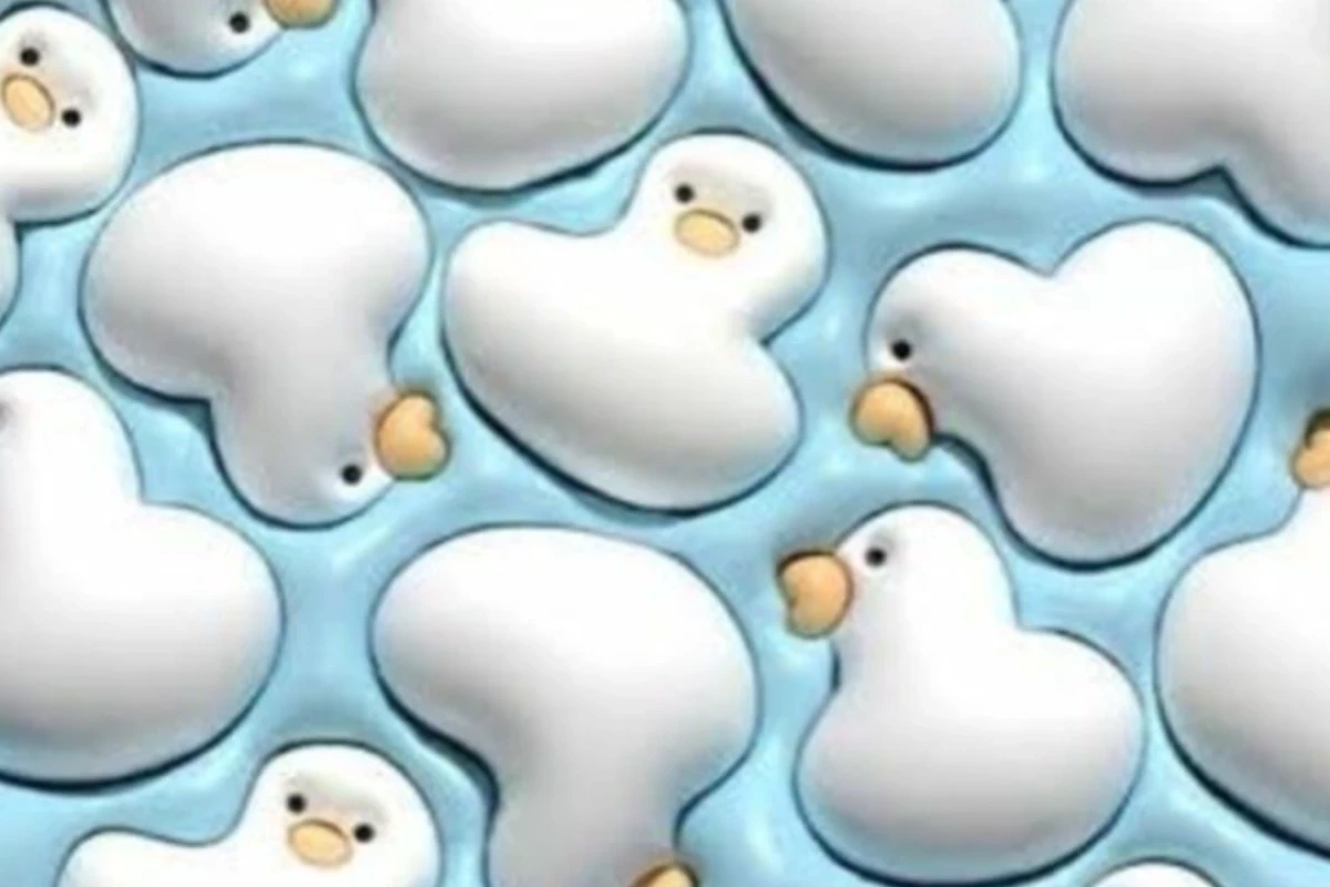 🫐ˡᵃᵈʸ ᵇˡᵘᵉᵇᵉʳʳʸ