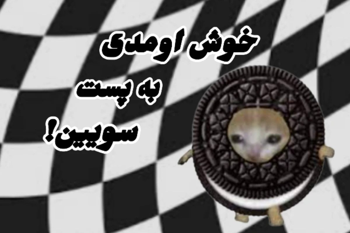 🐳: چگونه از زیر حل تکالیف در برویم؟(فان)