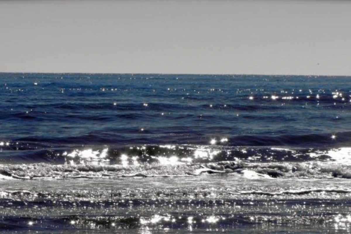 🐚 : من نمیدونم !